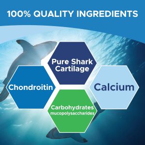 کپسول شارک کارتیلیج MapleLife Shark Cartilage ضد التهاب مفاصل