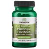 عصاره مورینگا اولیفیرا ناو 400 میلی گرم 60 عدد Swanson Moringa Oleifera