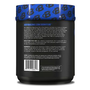 بی سی ای ای بادی بیلدینگ  Bodybuilding BCAA