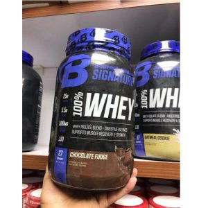 پروتئین وی بادی بیلدینگ 27 سروینگ Bodybuilding 100% Whey Protein