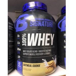 پروتئین وی بادی بیلدینگ 67 وعده Bodybuilding Whey Protein