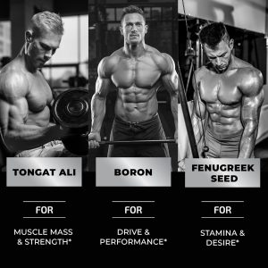 پاستیل تستوسترون نوبی نوتریشن Nobi Nutrition Testosterone