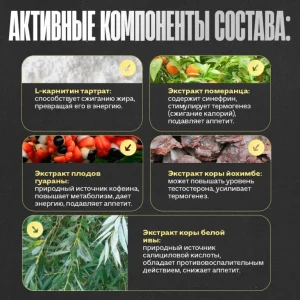 قرص چربی سوز آسیا بلک 25 کلوما فارما CLOMA PHARMA Asia Black