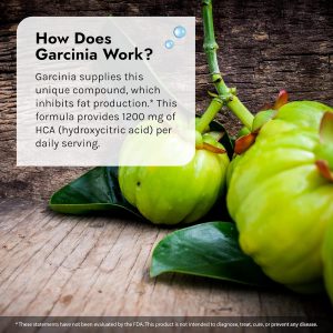 گارسینیا اچ سی ای اروین نچرالز 90 عدد IRWIN GARCINIA HCA