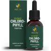قطره کلروفیل ویت اکتیو نچرال نوتریشن VITACTIV Chlorophyll Drops