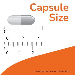 گلوکزامین کندرویتین ام اس ام ناو NOW Glucosamine & Chondroitin MSM