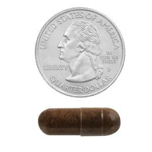 کپسول نخل اره اسپرینگ والی Spring Valley Saw Palmetto