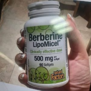 بربرین لیپو‌مایسل Berberine LipoMicel 500mg