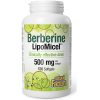 بربرین لیپو‌مایسل Berberine LipoMicel 500mg