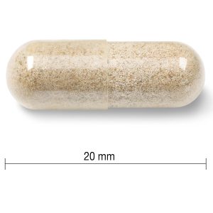 کپسول آهن جمیسون 150 عدد Jamieson High Absorption Gentle Iron