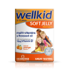 مولتی ویتامین Wellkid Soft Jelly ویتابیوتیکس کودکان 4 تا 12 سال