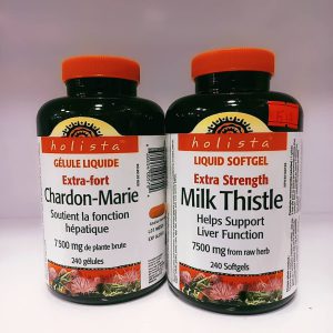 خار مریم چاردون ماری هولیستا Holista chardon marie