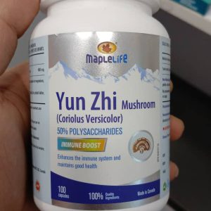 کپسول قارچ یون ژی مپل لایف Maplelife Yun Zhi